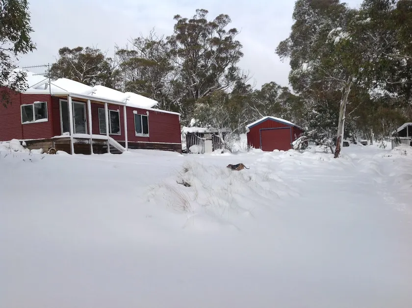 Beds On Berry - Image 1