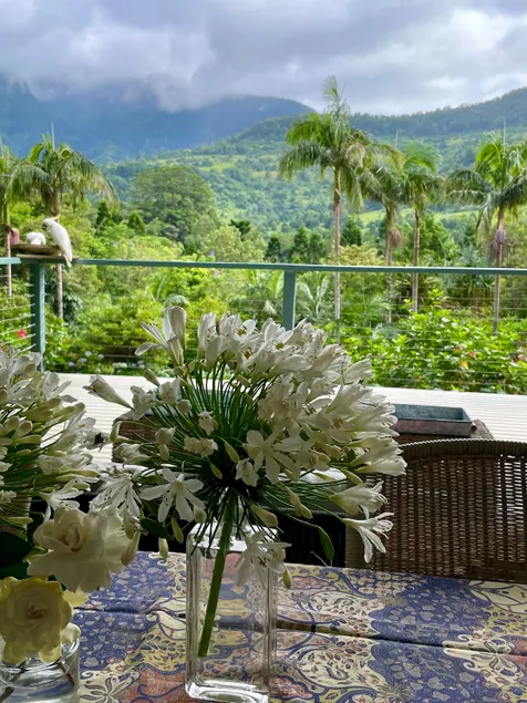 Limpinwood Cottage 2484, Amazing Mountain Views - Image 1