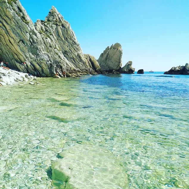 Endless Summer - Image 1