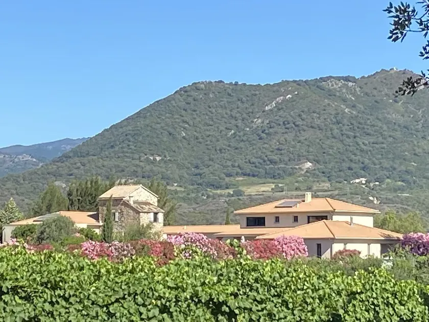 Luxury escape private Corsican villa - Image 1