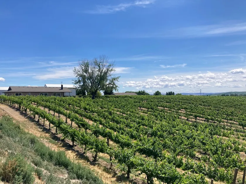 Vineyard and winery guest house - Image 1