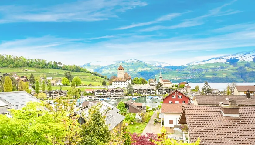 Chalet Charm, Lake & Alpine View 1 - Image 1