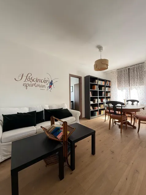 Heroic Waiter Apartment Marót - Image 1