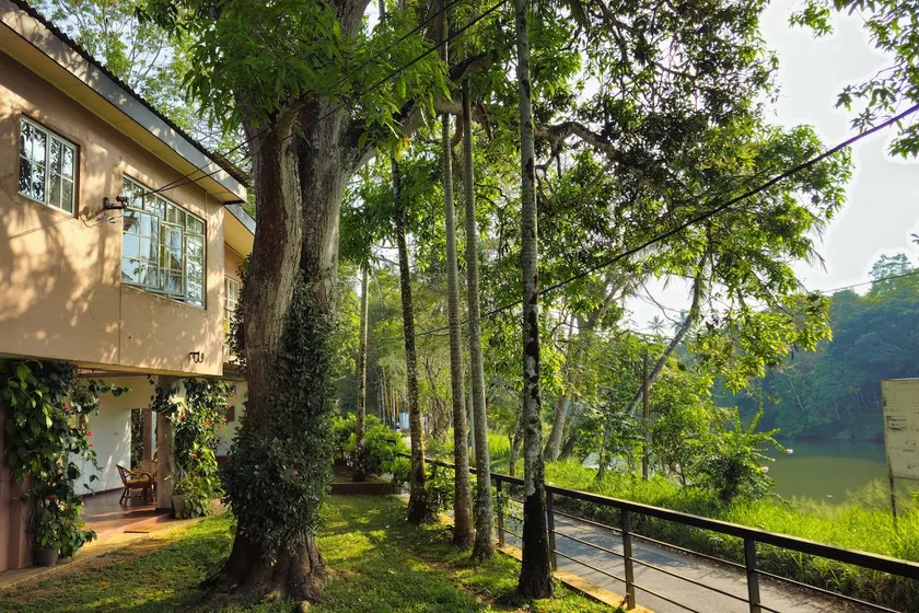 McCallum Cottage《 B&B, River View, 15 Min to City》 - Image 1