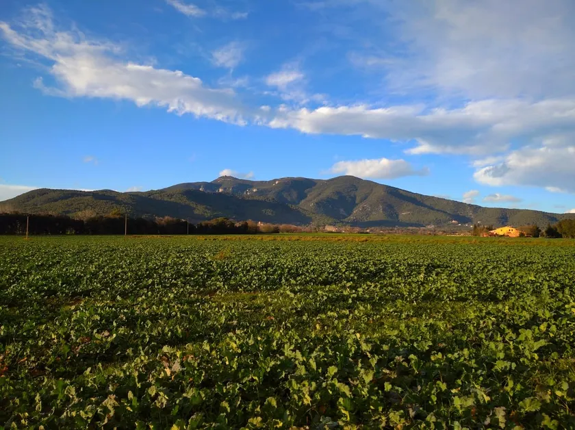 El Refugi del Mont in the heart of nature - Image 1