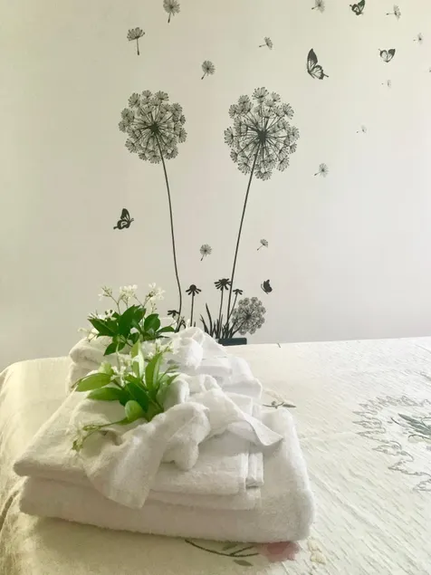 ”Il Castelletto” apartment with garden - Image 1