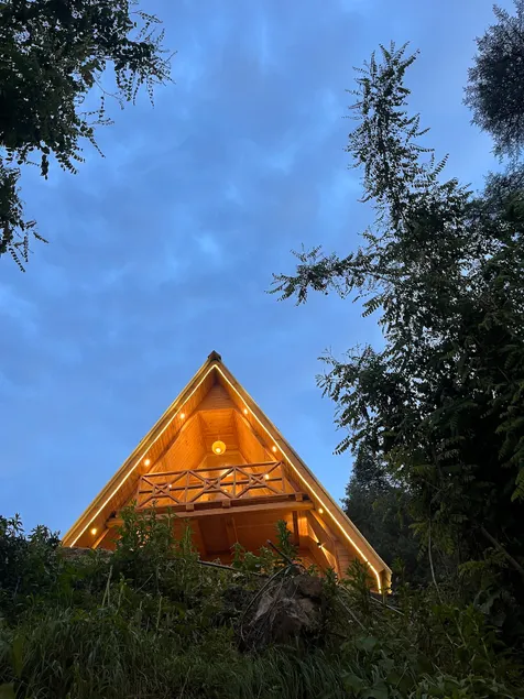 A frame cottage in the Woods - Image 1