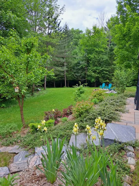 Private Modern Guest Unit in Lower Level Log House - Image 1