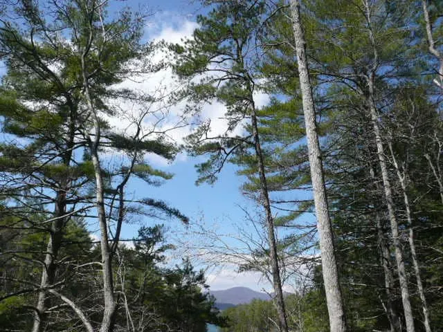 Beautiful lake front home in Bear Paw - Image 1