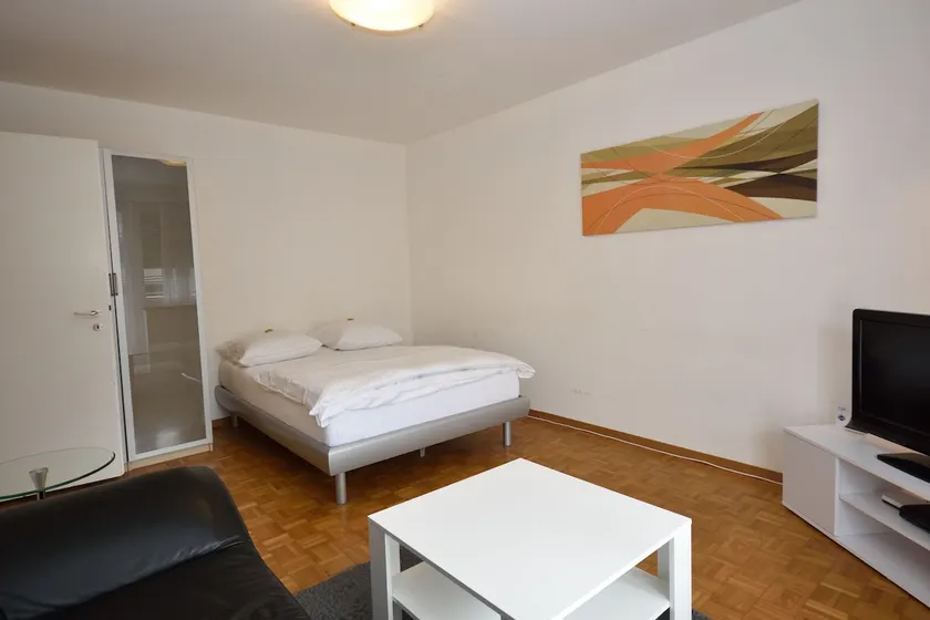 Spacious 1BR near Opera and Lake - Mill 5 43 - Image 1