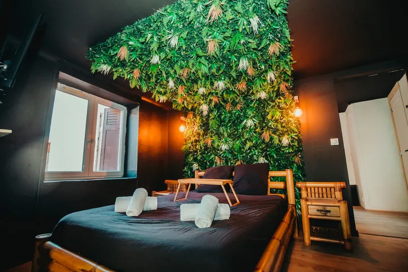 Suite Jungle - Image 1