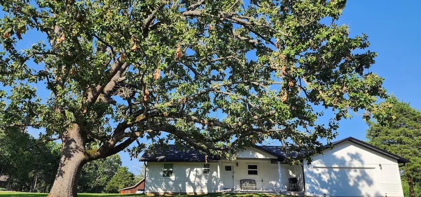Big Oak Retreat at Sweetwater Beach - Image 1