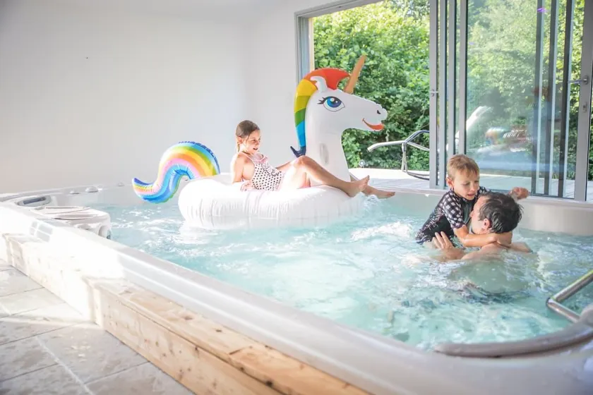 Unusual gîte with swimming spa - Image 1