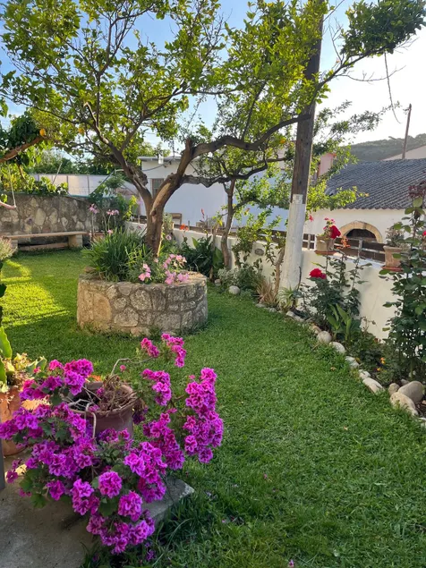 “Lemonia” village apartments - Image 1