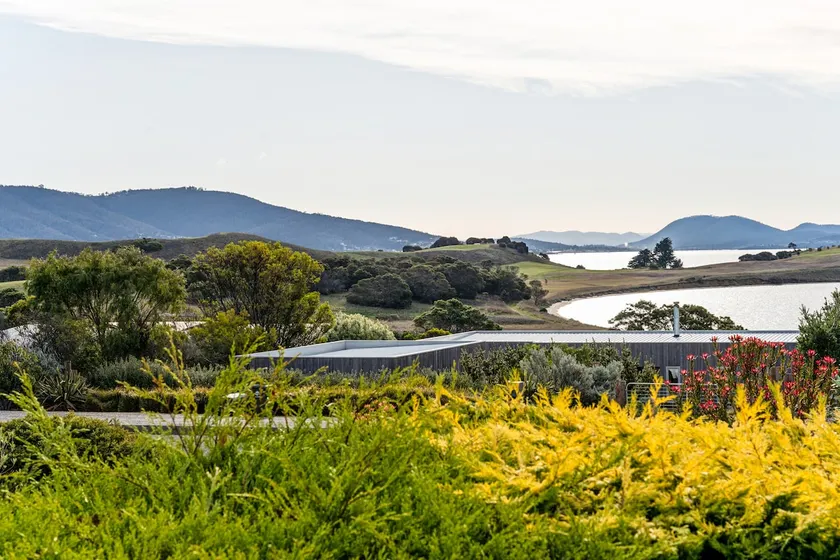 Eclipsed Escape, Opossum Bay - Image 1