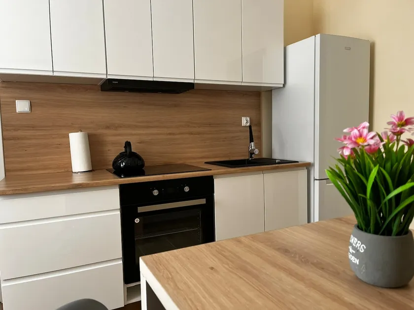 Beskid Rest Apartments No4 - Image 1