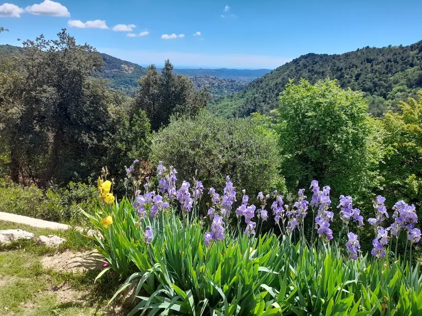 Carpe Diem in Cabris - Image 1