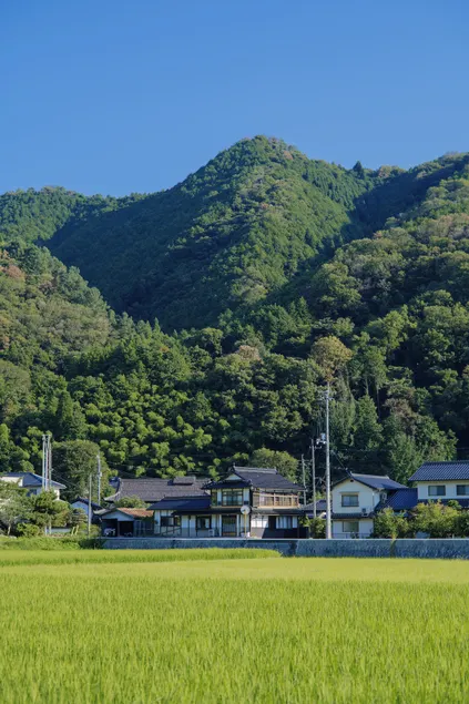 Yuzan (Isangjin) - Image 1