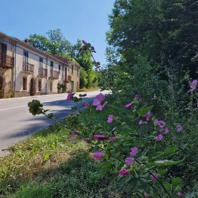 The homes of Papà Nuccio - Image 1