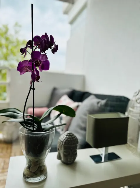 Stylvia Apartment - Image 1