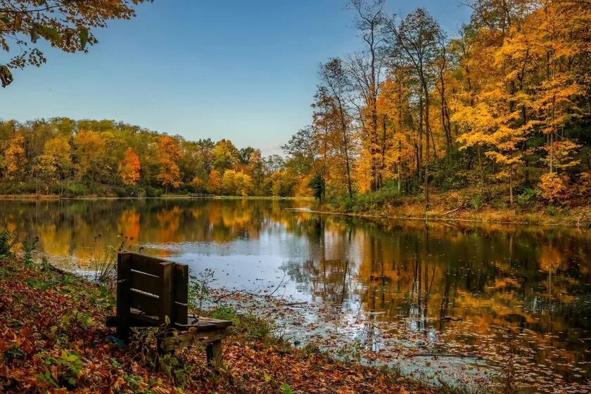 Huge Beautiful Lakefront Home with Trails near Ark - Image 1
