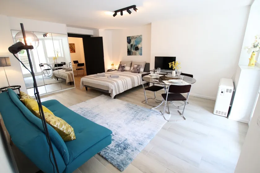 Spacious studio + 32 m² terrace - Image 1