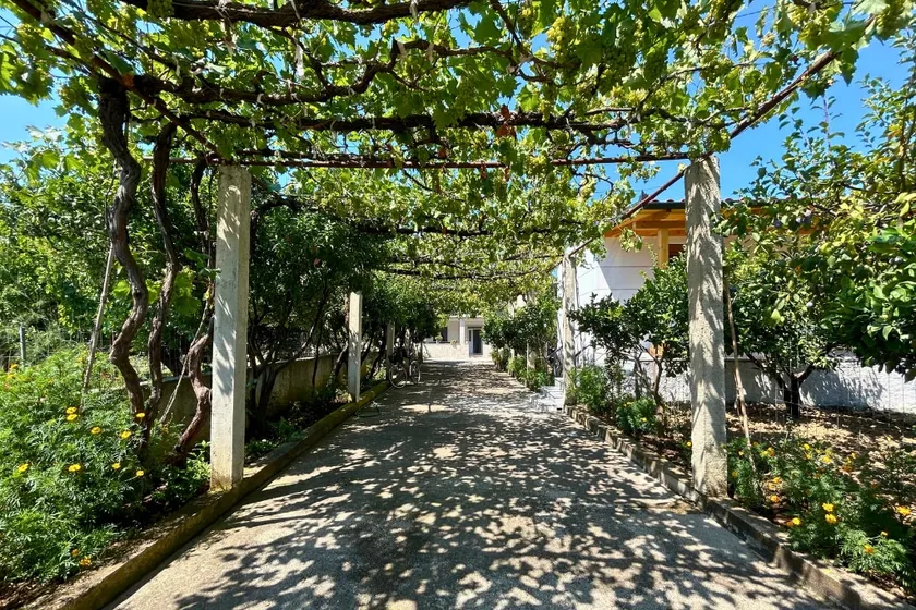 [Garden house] – 5 minutes from the sea - Image 1