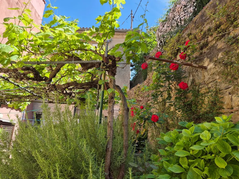 NEW - Garden Apartment Near Sea - Image 1