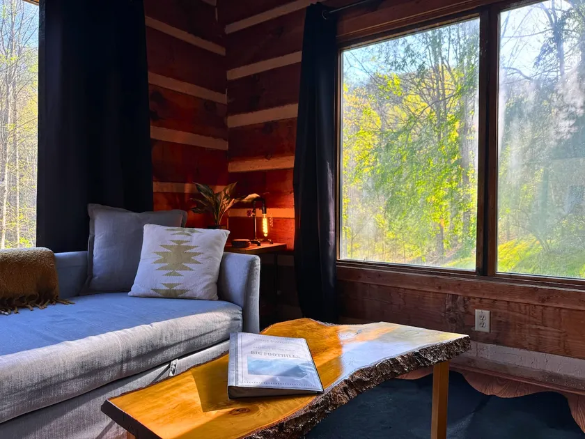 Cabin Retreat near Hot Springs & Marshall-Firepit! - Image 1