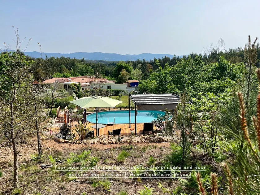 Villa Tranquilla apartment - Image 1