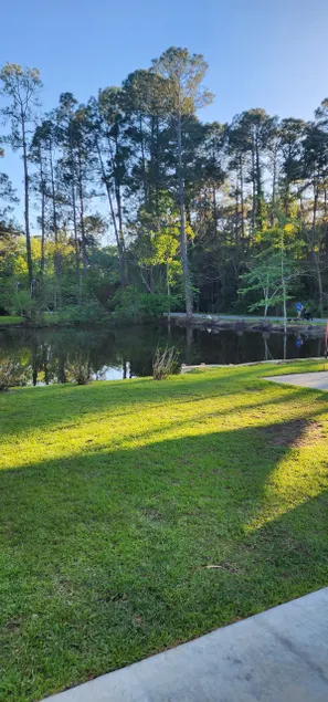Peaceful Duck Pond 3 br house near exit 61 on I75. - Image 1