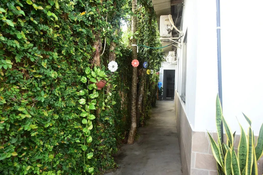 Peace and quiet. Home - Image 1