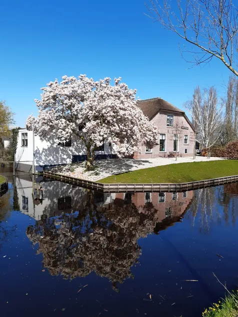 Spacious Farm in Het Groene Hart, Utrecht Region - Image 1