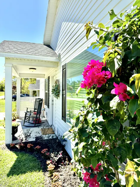 Doxie Cottage - Close to WEC, Springs, and More! - Image 1