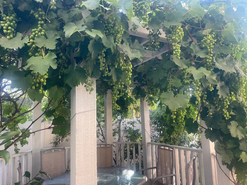Spacious Pasadena home | Near Cal Tech & Old Town - Image 1