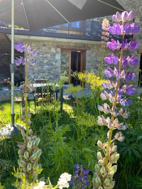 LE LODGE, Pyrénées 2000 - Jardin, très calme, espace rangement - Image 1