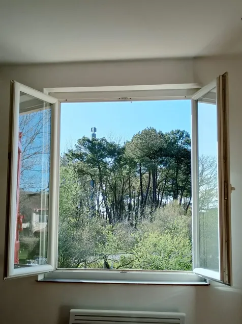 Large Bright Home between Lake and Ocean - Image 1