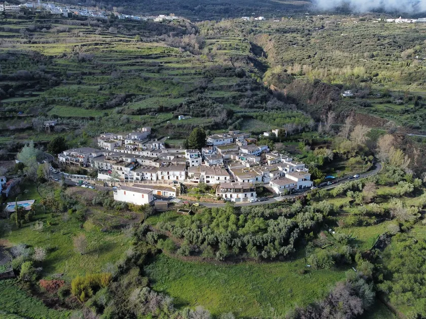 Valle de la Calma - Hypericum - Image 1