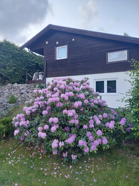 Apartment Strömstad, Lökholmen - Image 1