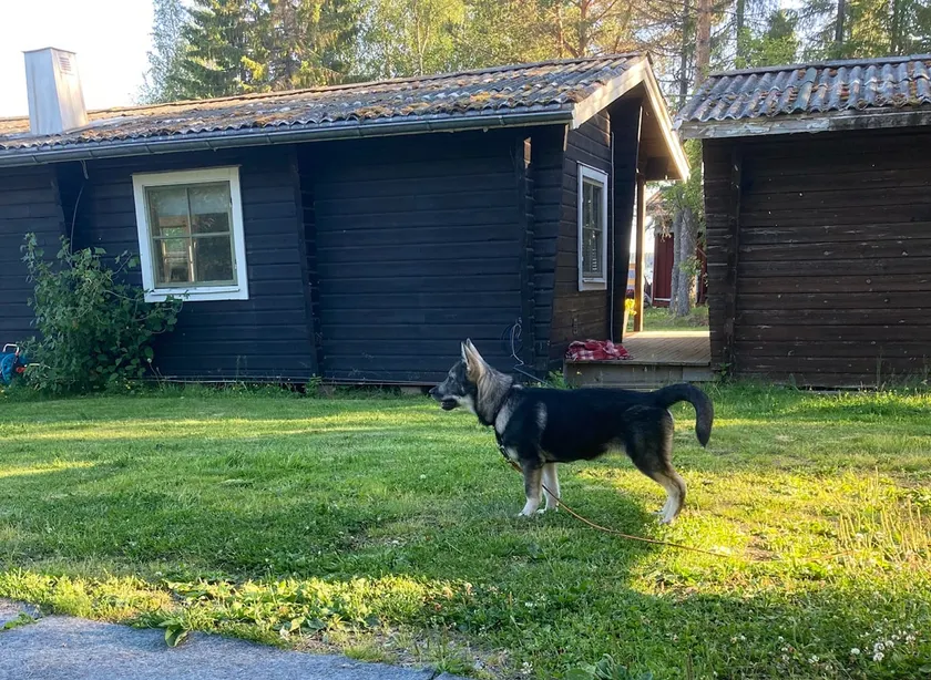 Naturally accessible Yrvädersvägen - Image 1