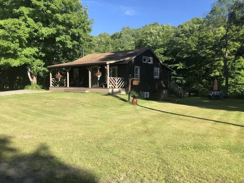 Debruce Riverside Cabin directly on the Willowemoc - Image 1