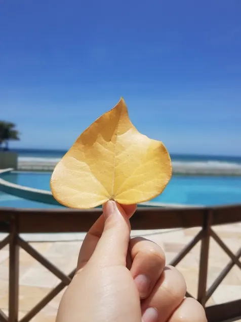 Edf02 Apt 503 - Maceió Seaside Suite - Image 1
