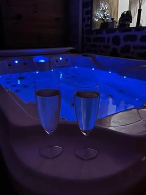 House: Sauna, Hammam & Jacuzzi - Image 1