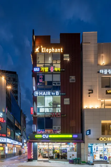 Elephant - Image 1