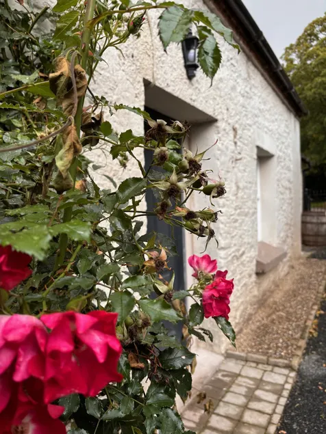 The Cottage, Walworth Demesne - Image 1