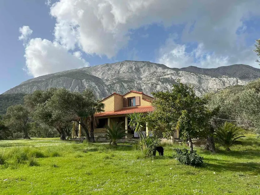 Stone cottage in an olive grove - Image 1