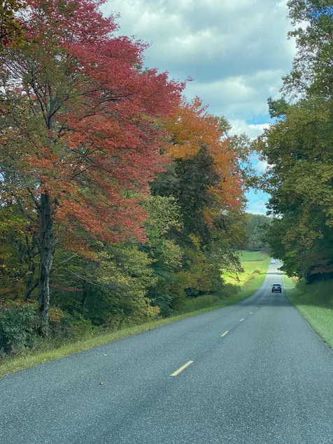 GratitudeView-Don't miss the fall colors this year - Image 1