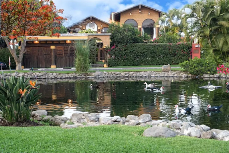 ”Casa Gabriela” Cuernavaca, Sumiya, Morelos. - Image 1