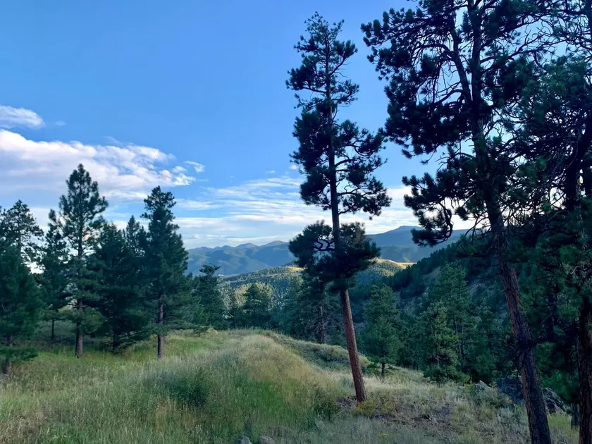 Stunning Boulder Luxury Mt Home | 15 mins to town - Image 1