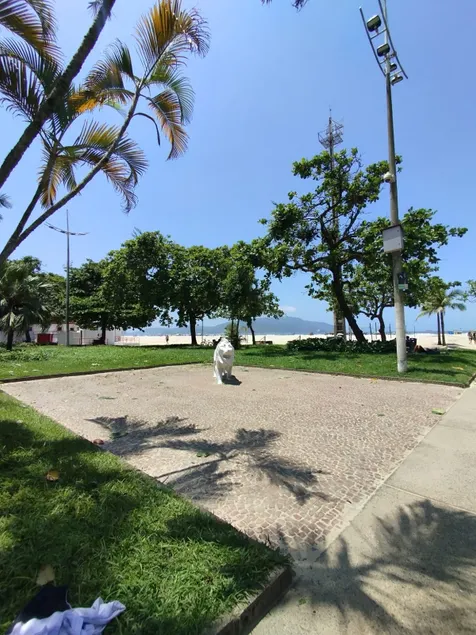 Beach season in Santos - Image 1